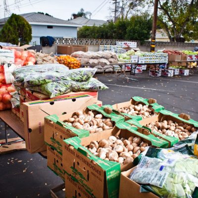 Fresh-produce-Distribution-4-scaled